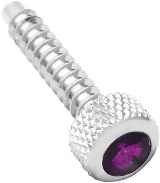 Freightliner Chrome Dash Screws with Purple Jewel Accent – 2 Pack