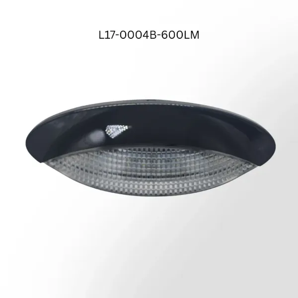 Euro Style Surface Mount Porch Light 18 SMD LED 600 Lumen Black Bezel