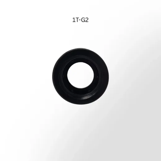 1T-G2 (1).png