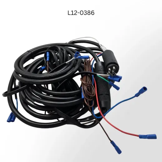 L12-0386.png